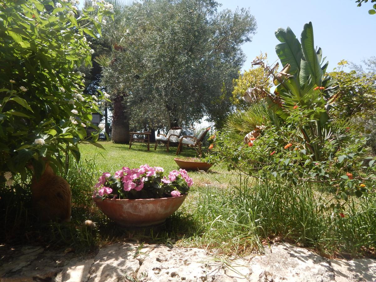 Villa Azzurra San Corrado di Fuori Exterior photo